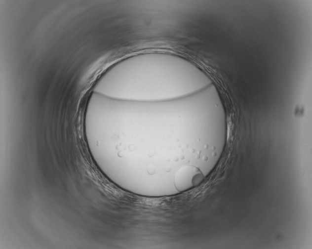 X0000115730339200911121130