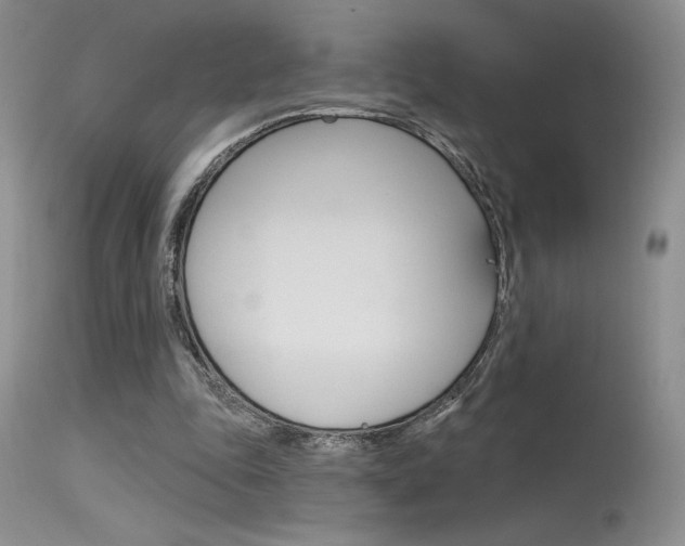 X0000115730343200911121130