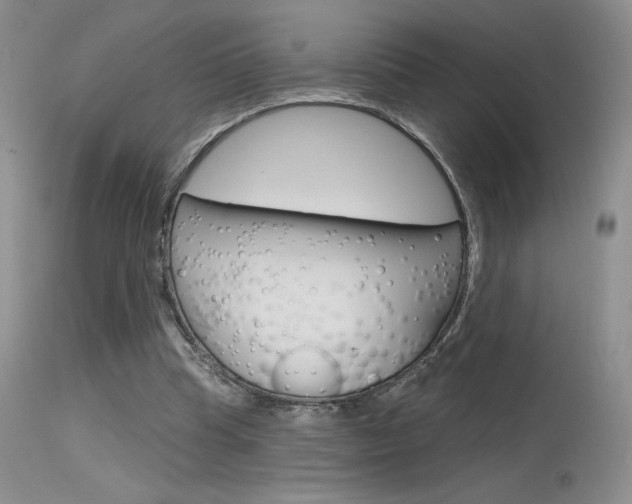 X0000115730345200911121130