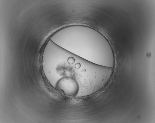 X0000115730346200911121130