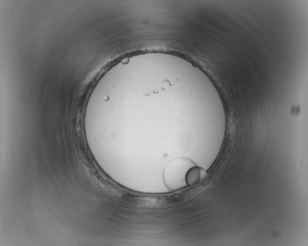 X0000115730347200911121130