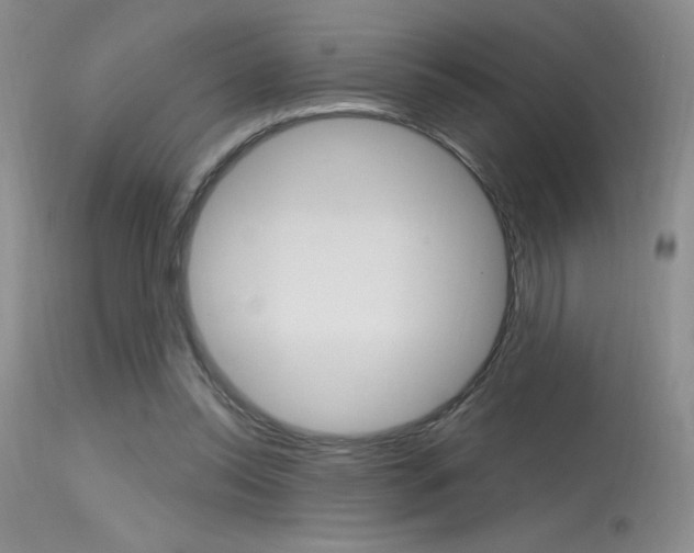 X0000115730350200911121130
