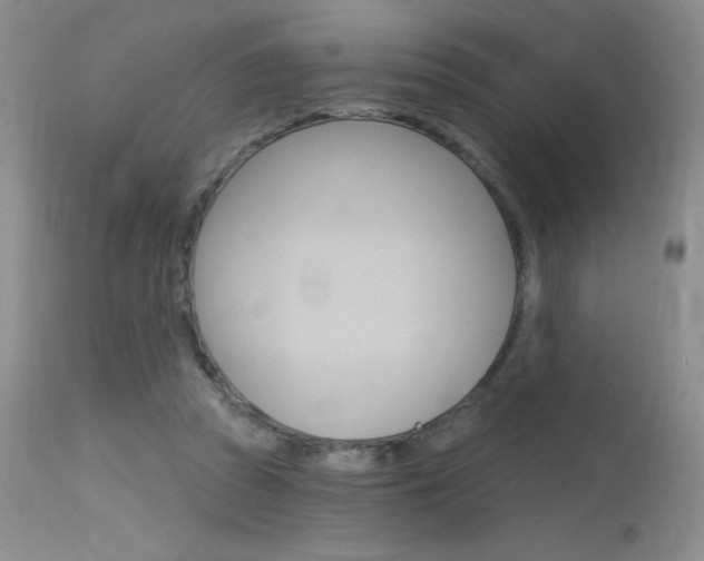 X0000115730353200911121130