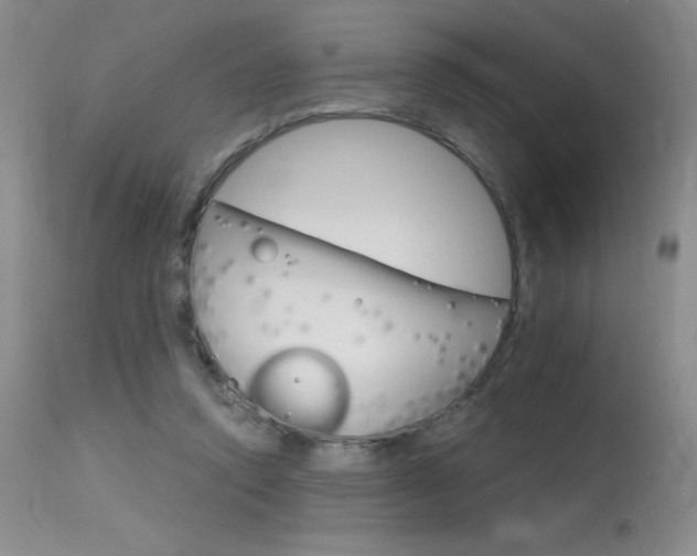 X0000115730354200911121130