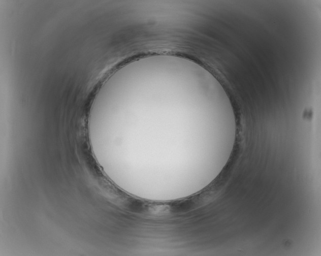 X0000115730355200911121130