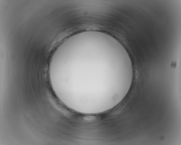 X0000115730357200911121130