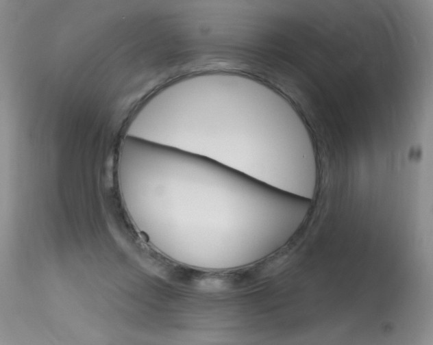 X0000115730358200911121130