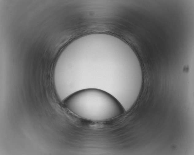 X0000115730362200911121130