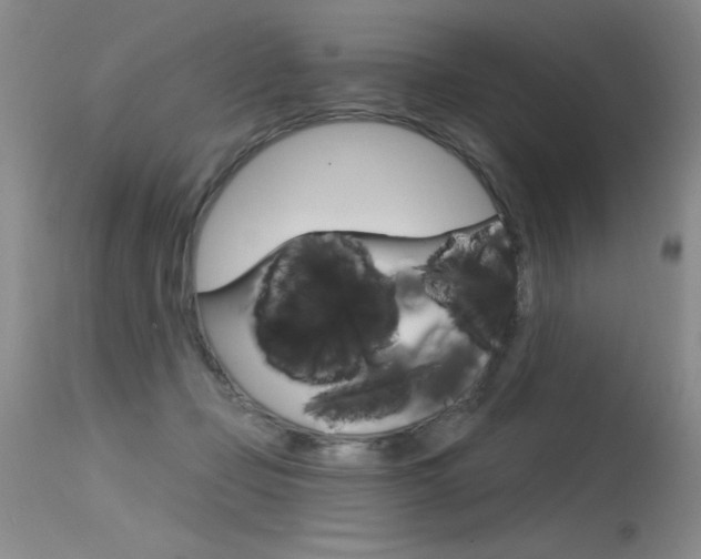 X0000115730365200911121130