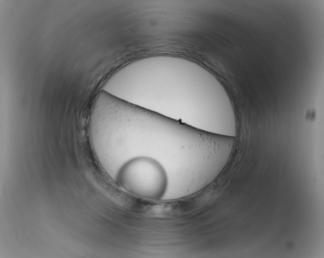 X0000115730366200911121130