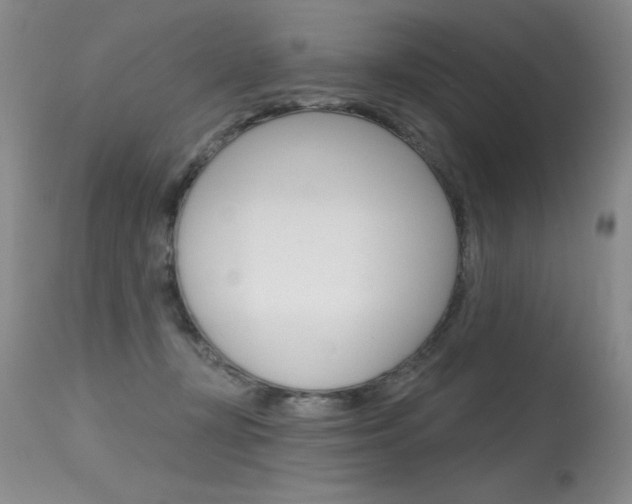 X0000115730367200911121130