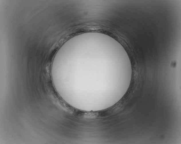 X0000115730373200911121131