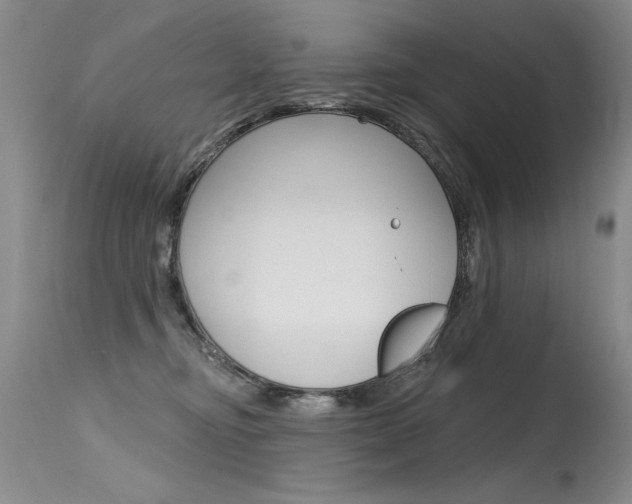 X0000115730374200911121131