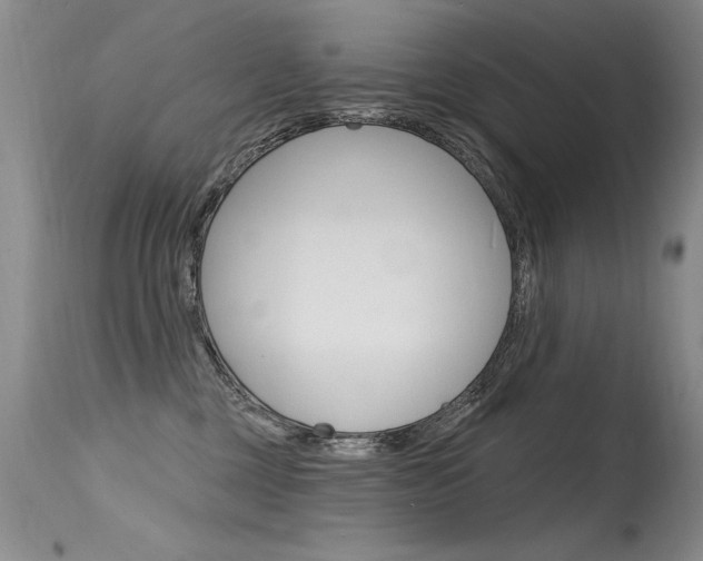 X0000115730377200911121131