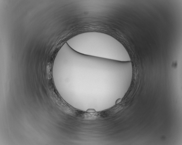 X0000115730378200911121131