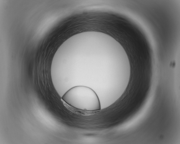 X0000115730382200911121131