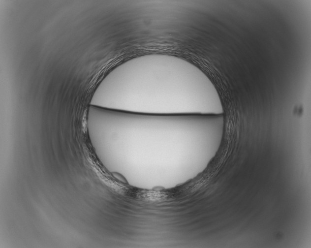X0000115730383200911121131