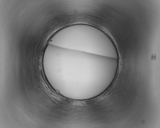 X0000115730386200911121130