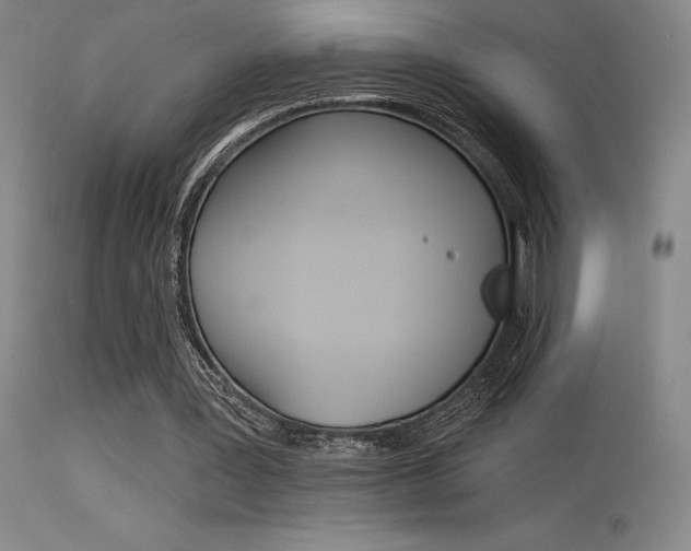 X0000115730387200911121130