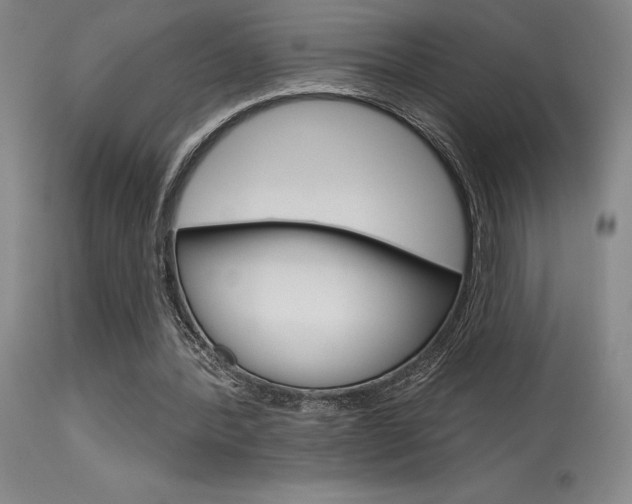 X0000115730388200911121130