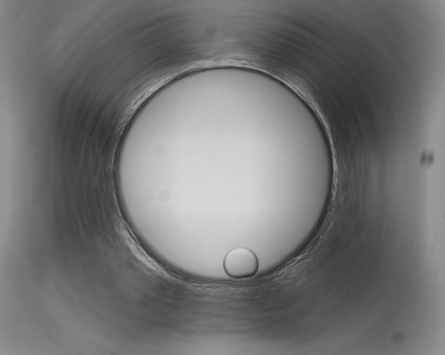 X0000115730389200911121130