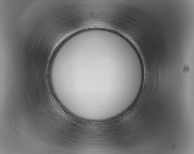 X0000115730391200911121130
