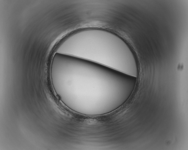 X0000115730392200911121130