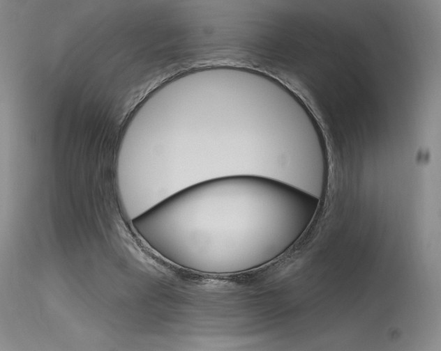 X0000115730393200911121130