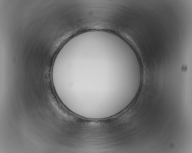 X0000115730394200911121130