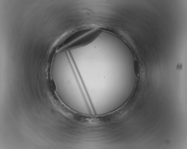 X0000115730395200911121130