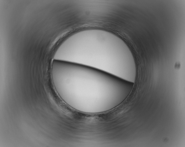 X0000115730396200911121130