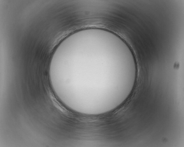 X0000115730397200911121130