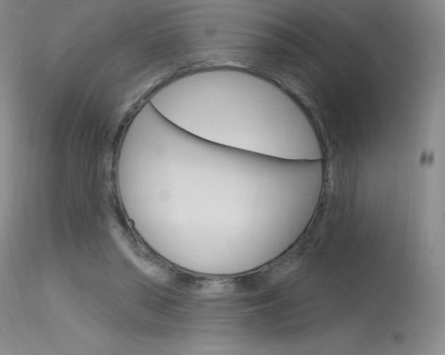 X0000115730398200911121130