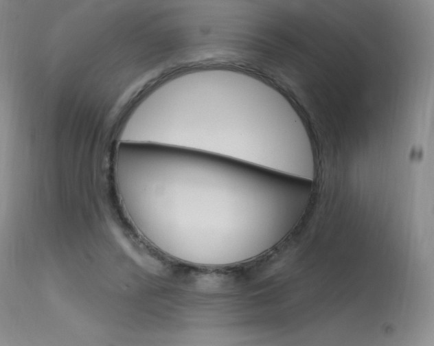X0000115730400200911121130