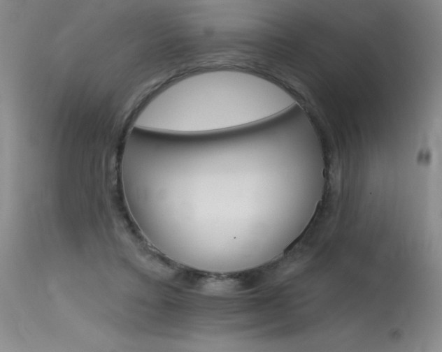 X0000115730403200911121130