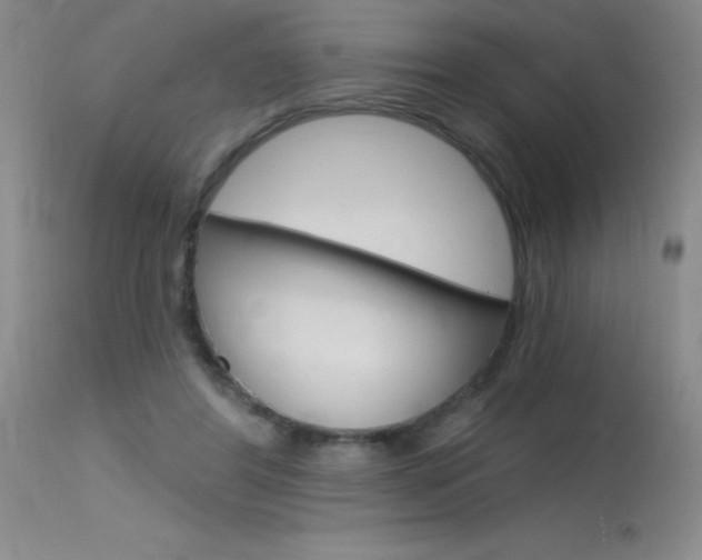 X0000115730404200911121130