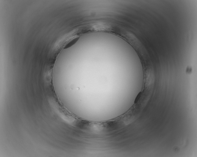 X0000115730405200911121130