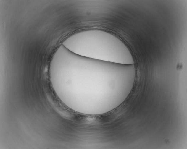 X0000115730406200911121130