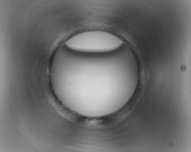 X0000115730407200911121130
