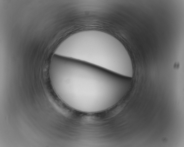 X0000115730408200911121130