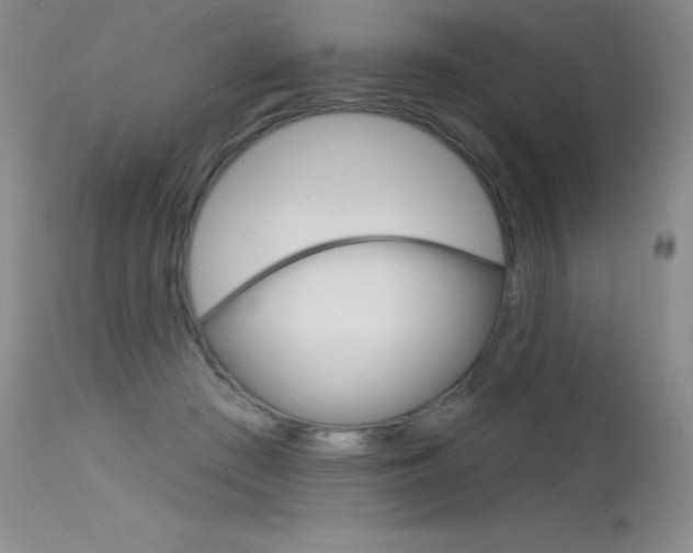 X0000115730409200911121130