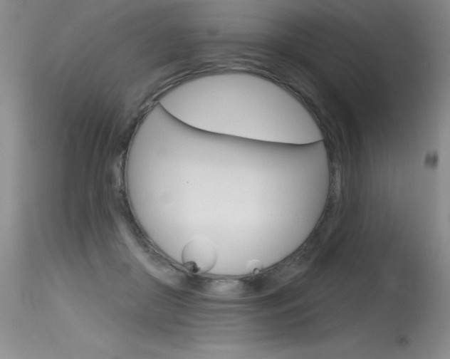 X0000115730410200911121130