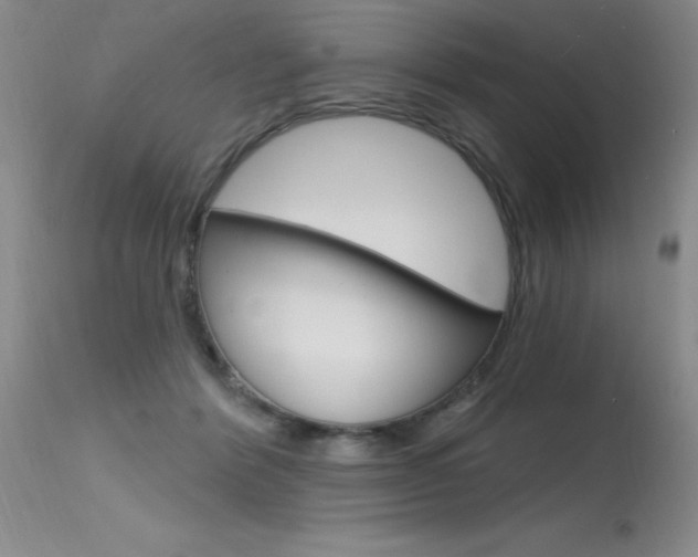 X0000115730412200911121130