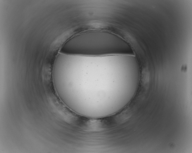 X0000115730413200911121130