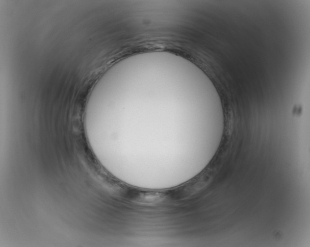 X0000115730414200911121130