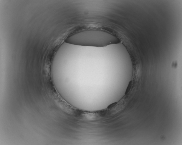 X0000115730417200911121130