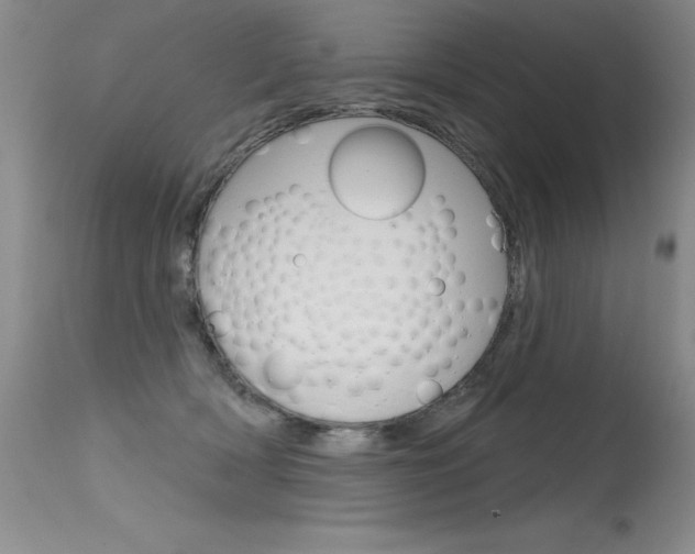 X0000115730418200911121130
