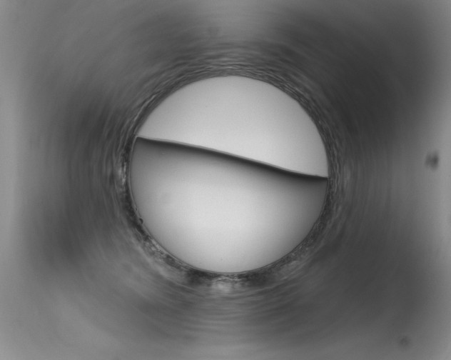 X0000115730420200911121130