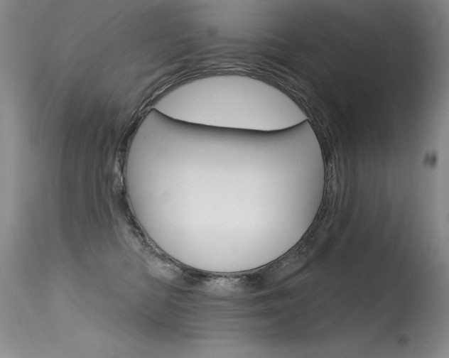 X0000115730422200911121130