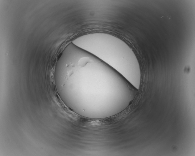 X0000115730423200911121129